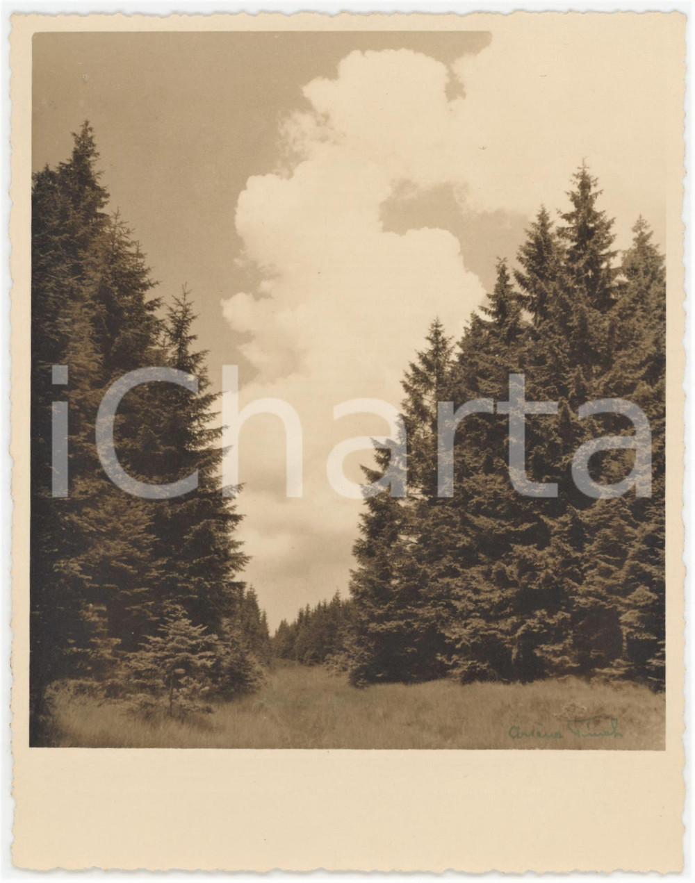 1950 ca BOTRANGE (BELGIQUE) Paysage avant un orage *Photo ArsÃ¨ne FINCK 13x16 cm  Fotografia originale d'epoca, con firma al recto.Didascalia manoscritta al verso. FOTOGRAFO: Ars&egrave;ne Finck - Ensival, Belgique  GOOD/buono  FORMATO: 13x16 cm originale e autentica 1