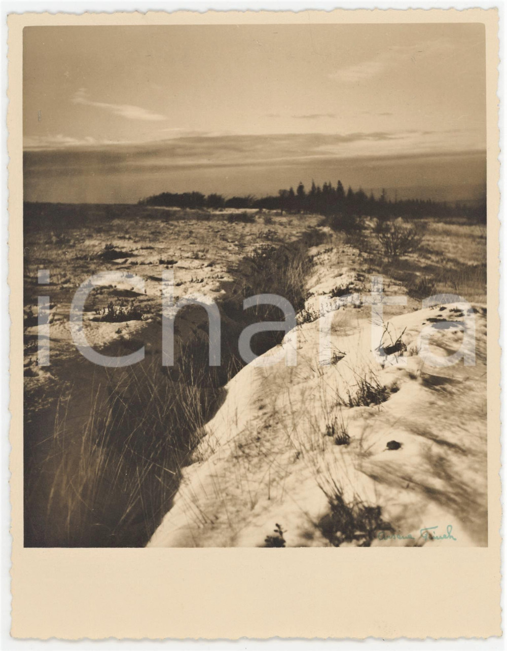 1950 ca BELGIQUE - La VIA MANSUERISCA - Photo ArsÃ¨ne FINCK 13x16 cm  Fotografia originale d'epoca, con firma al recto.Didascalia manoscritta al verso. FOTOGRAFO: Ars&egrave;ne Finck - Ensival, Belgique GOOD/buono  Formato: 13x16 cm originale e autentica 1