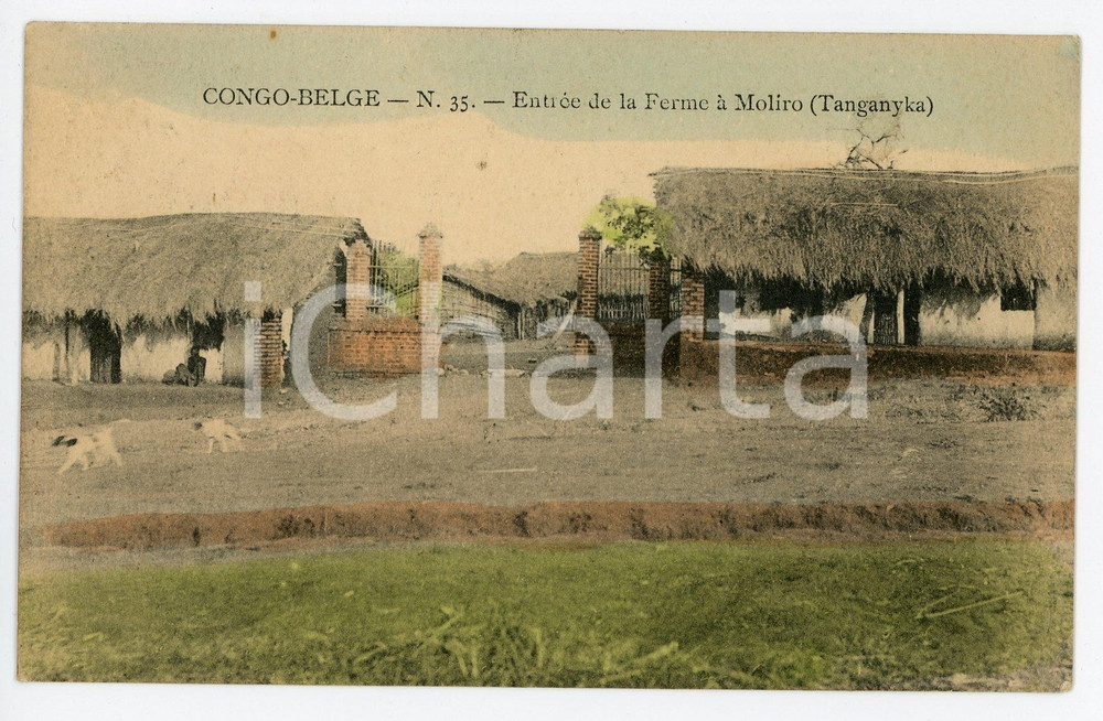 1912 CONGO BELGE - TANGANYKA Entrée de la Ferme à MOLIRO Vintage Postcard FP VG  Cartolina postale d'epoca, viaggiata.CONDIZIONI: FAIRFORMATO: FP    originale e autentica 1