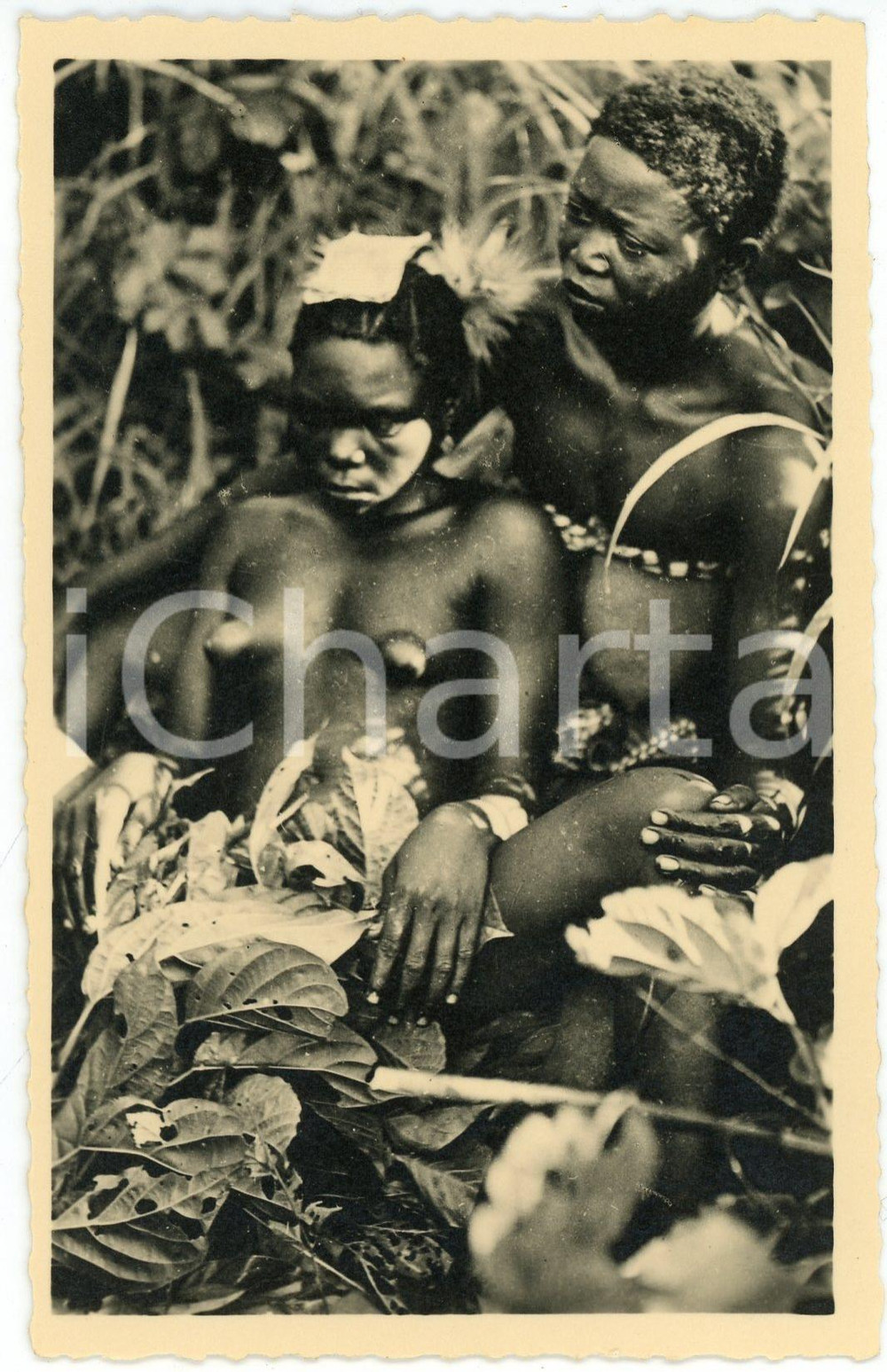 1950 ca RenÃ© PAULEAU - Excision chez les M'BAKA-MANDJA (CAMEROUN) (11) Postcard  Fotocartolina postale d'epoca, appartenente alla serie &laquo;Collection Ethnographique&raquo; del fotografo Ren&eacute; Pauleau (Douala, Camerun).Didascalia : "17 - 2e phase de l'initiation de l'excision chez les M'Baka-Mandja. Chaque initi&eacute;e a une marraine".Non viaggiata.CONDIZIONI: GFORMATO: 9x14 cm     originale e autentica 1