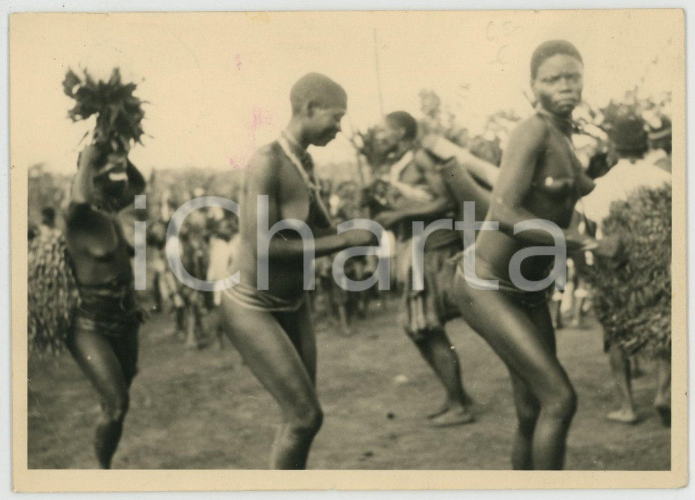 Cartolina originale da collezione 1954 CONGO BELGE  ETHNIC NUDE Congolese girls during tribal dance  Postcard FG 1
