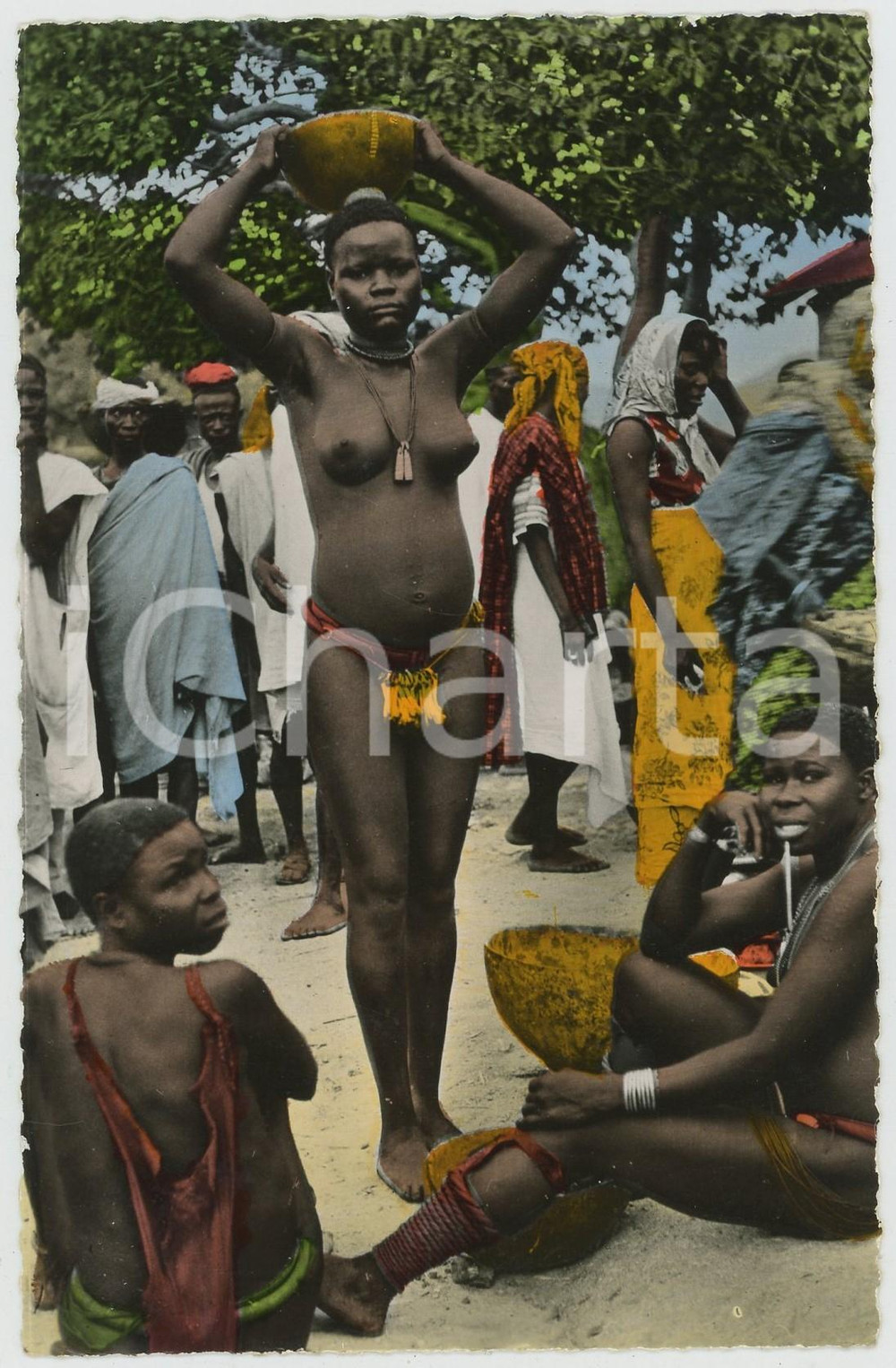 1960ca L'AFRIQUE EN COULEURS Femmes de Matakam NU ETHNIQUE Carte postale FP NV  Cartolina postale d'epoca, non viaggiata .EDIZIONE: Editions Hoa-Qui, ParisSERIE: L'Afrique en couleures - n. 1236CONDIZIONI: GFORMATO: FP    originale e autentica 1
