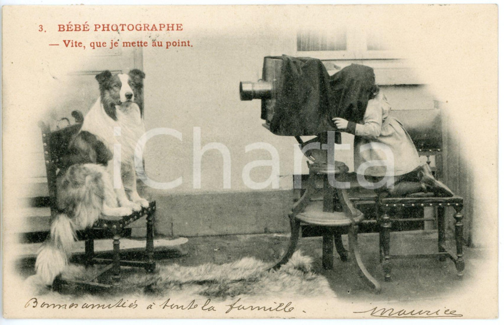 1903 FRANCE ENFANTS Bébé photographe - Vite que je mette au point *Carte postale  Cartolina postale d'epoca, viaggiata.CONDIZIONI: GFORMATO: FP    originale e autentica 1