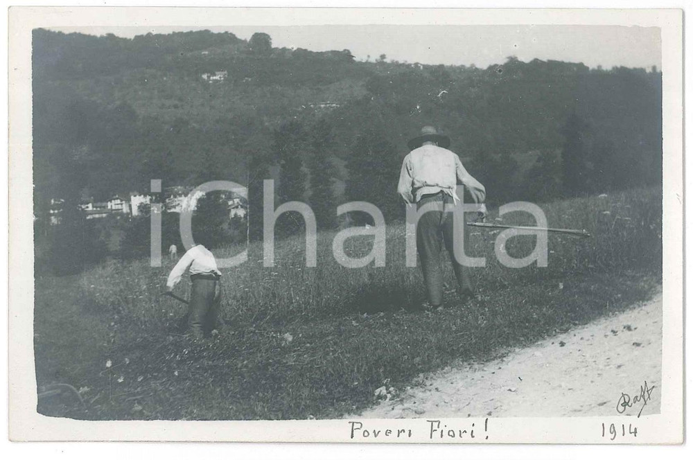 Fotografia d epoca originale 1914 GHIFFA ? Contadini falciano un prato  Fotografia Raffaele PEDRETTI 1