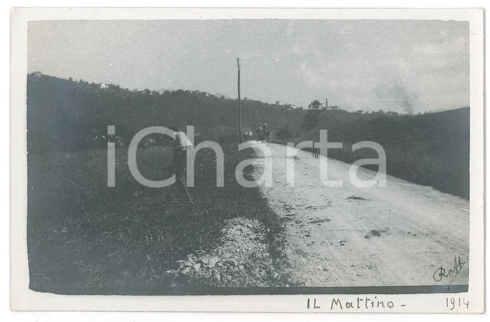 Fotografia d epoca originale 1914 GHIFFA ? Contadino falcia un prato  Fotografia Raffaele PEDRETTI 1