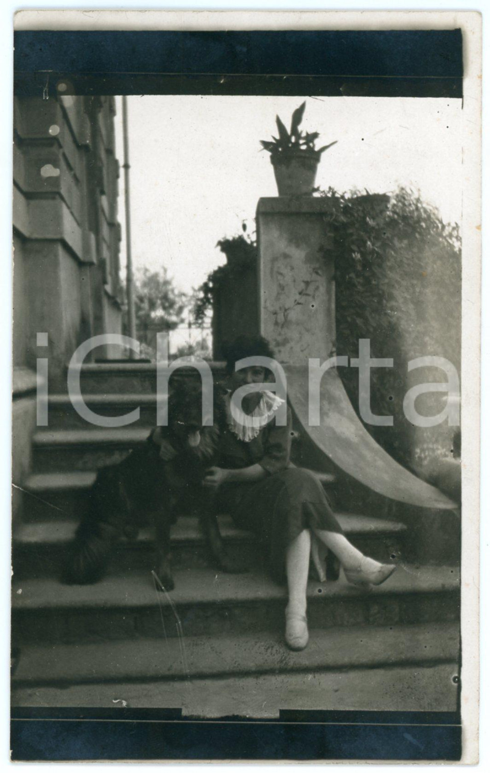 1920 ca ITALIA Ritratto di giovane donna in villa con il suo cane - Foto 9x14 cm  Fotografia d'epoca, in formato cartolina postale.CONDIZIONI: GFORMATO: 9x14 cm    originale e autentica 1