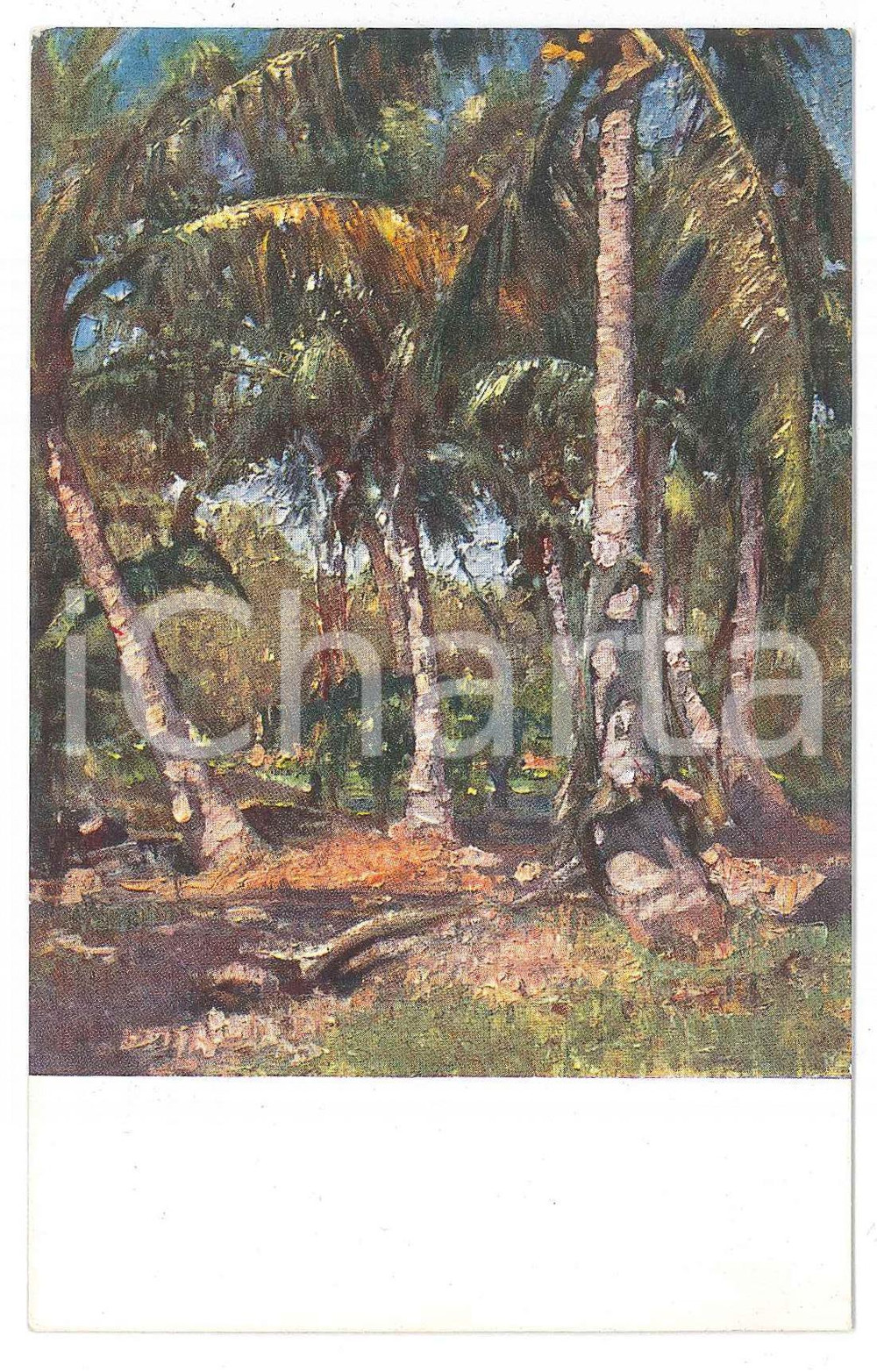 1926 Artista Lidio AJMONE Somalia italiana - Boschi di cocchi a GENALE Cartolina  Cartolina postale d'epoca, non viaggiata.EDIZIONE: Ministero delle Colonie - Ufficio Studi e PropagandaCONDIZIONI: FAIR (lievi smussature agli angoli)FORMATO: FP    originale e autentica 1