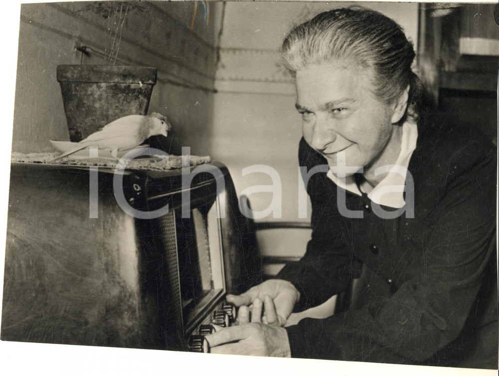 Fotografia d epoca originale 1953 ROVIGO Maria ZENATTI vincitrice del premio BBC Ascoltate Radio Londra 1