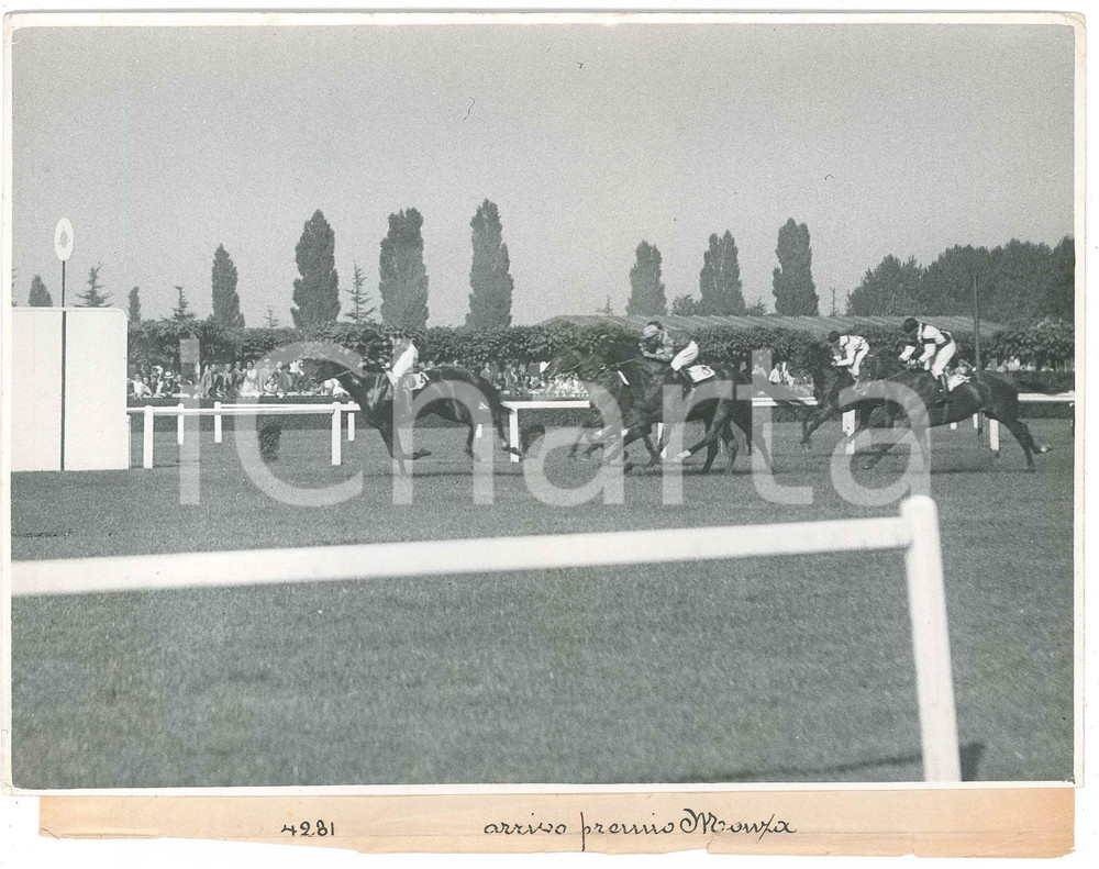1930 ca MILANO Ippodromo SAN SIRO Arrivo del Premio Monza - Foto EQUITAZIONE Fotografia d'epoca.CONDIZIONI: POOR (lievi piegature agli angoli, strappi alla didascalia)FORMATO: 24x18 cm    originale e autentica 1