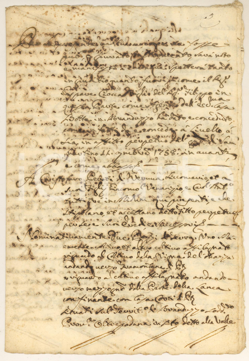 Documento originale, autentico 1758 CASTELLETTO DI BRANDUZZO (PV) Livello terre a Cristoforo PEVOTI e figli 1