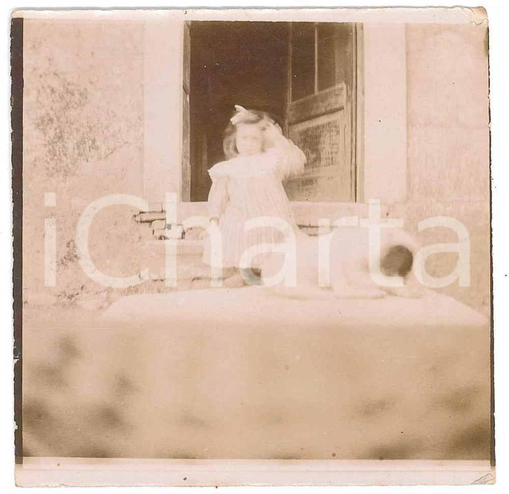 1910 ca BELGIO (?) Bambina con cagnolino - Fotografia anonima 9x9 cm  Fotografia d'epoca. FAIR/discreto Lievi smussature agli angoli Formato: 9x9 originale e autentica 1