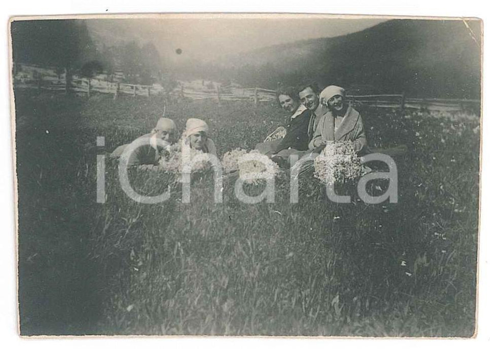 1910 ca ITALIA - ALPI (?) Amici raccolgono fiori di campo Fotografia anonima 8x5  Fotografia d'epoca. FAIR/discreto Lievi smussature agli angoli Formato: 8x5 originale e autentica 1