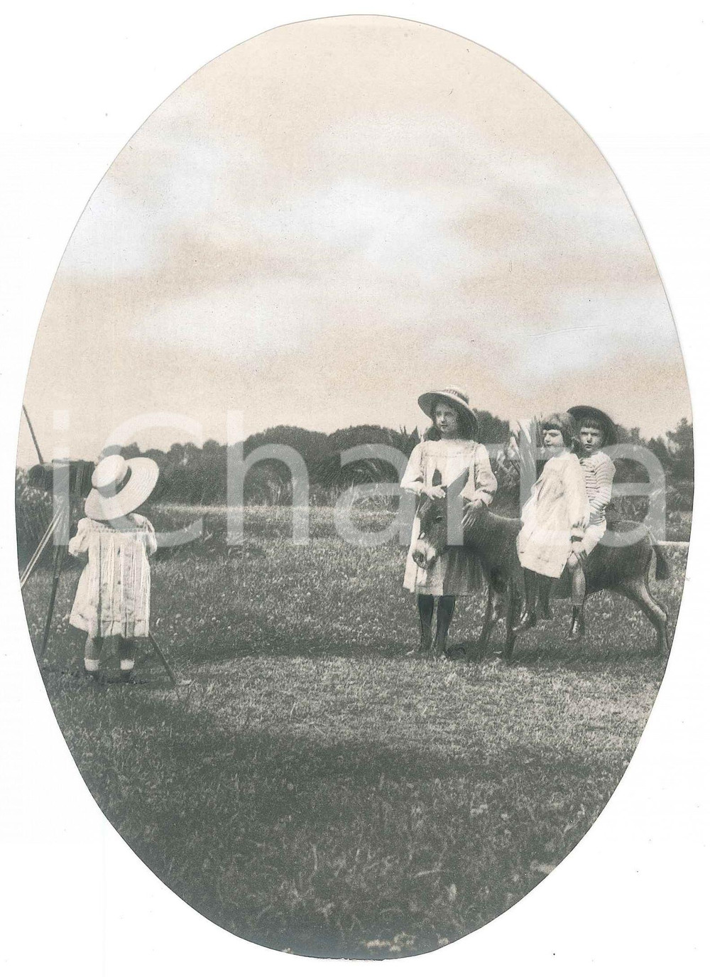 1920 ca CASA SAVOIA Principe Umberto e sorelle con asinello *Foto 12x18