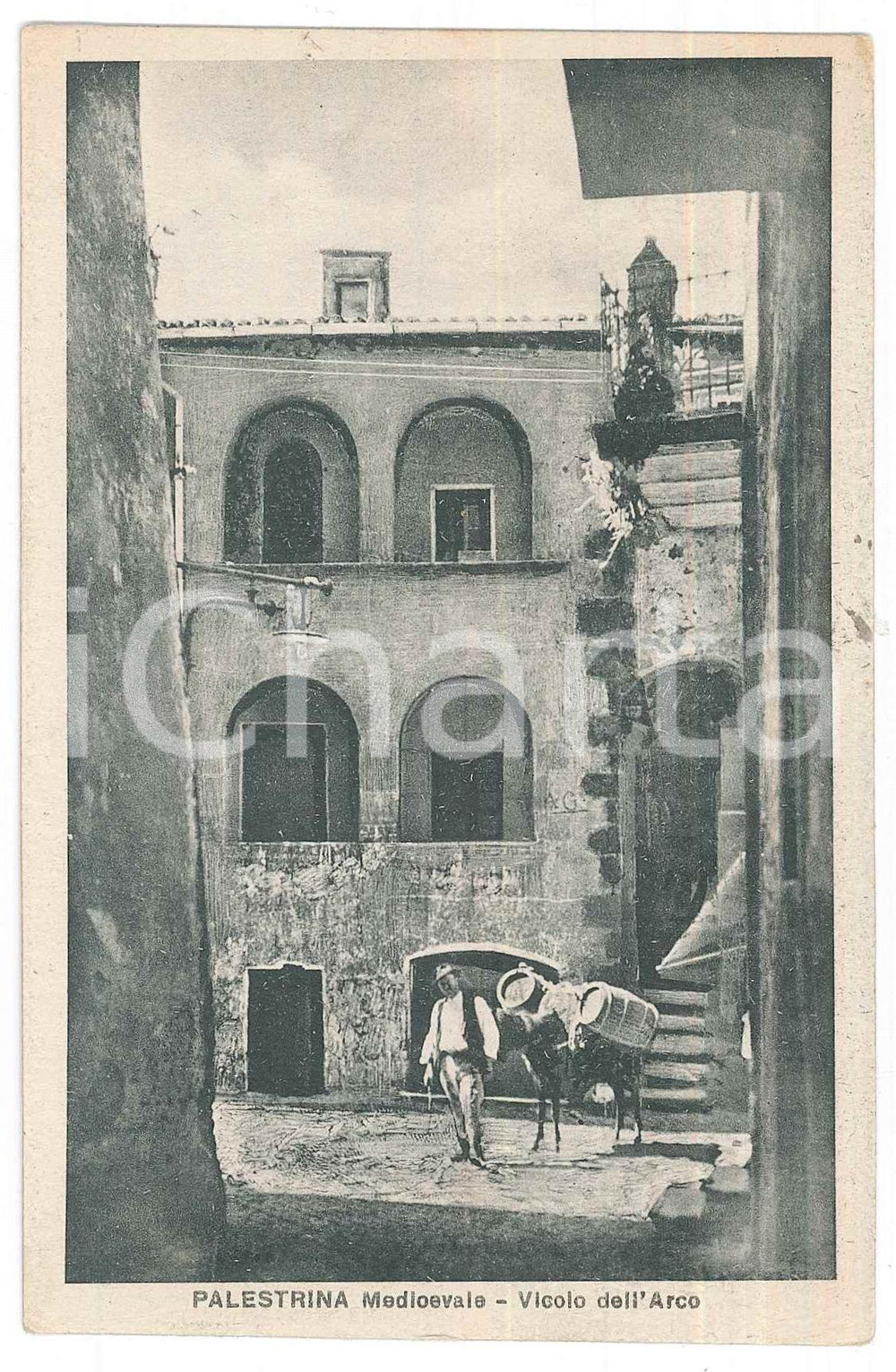 1938 PALESTRINA Mercato con asino in Vicolo dell'Arco - Cartolina ANIMATA FP VG Cartolina d'epoca, viaggiata.   FAIR/discreto Lievi smussature agli angoli, macchia di bianchetto al verso Formato: 13x8 cm originale e autentica 1