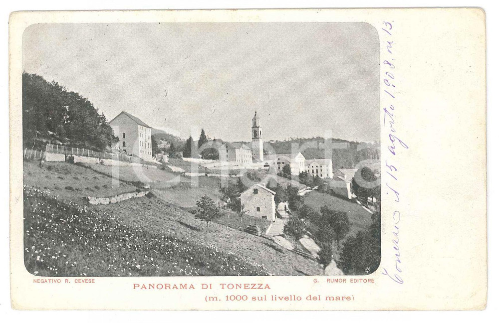1908 TONEZZA DEL CIMONE (VI) Veduta panoramica - Cartolina FP VG