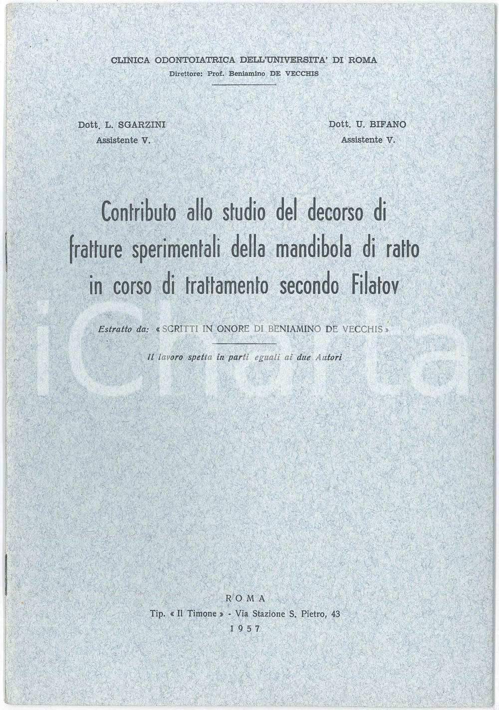 1957 Luciano SGARZINI - U. BIFANO Trattamento secondo V.P. FILATOV - Estratto Pubblicazione d'epoca illustrata. "Contributo allo studio del decorso di fratture sperimentali della mandibola del ratto in corso di trattamento secondo Filatov"Estratto da "Scritti in onore di Beniamino De Vecchis"EDITORE: Clinica odontoiatrica dell'Universit&agrave; di RomaTIPOGRAFIA: Il Timone - RomaPAGINE: 12 FAIR/discreto Lieve piegatura all'angolo inferiore sinistro Formato: 17x24 cm originale e autentica 1