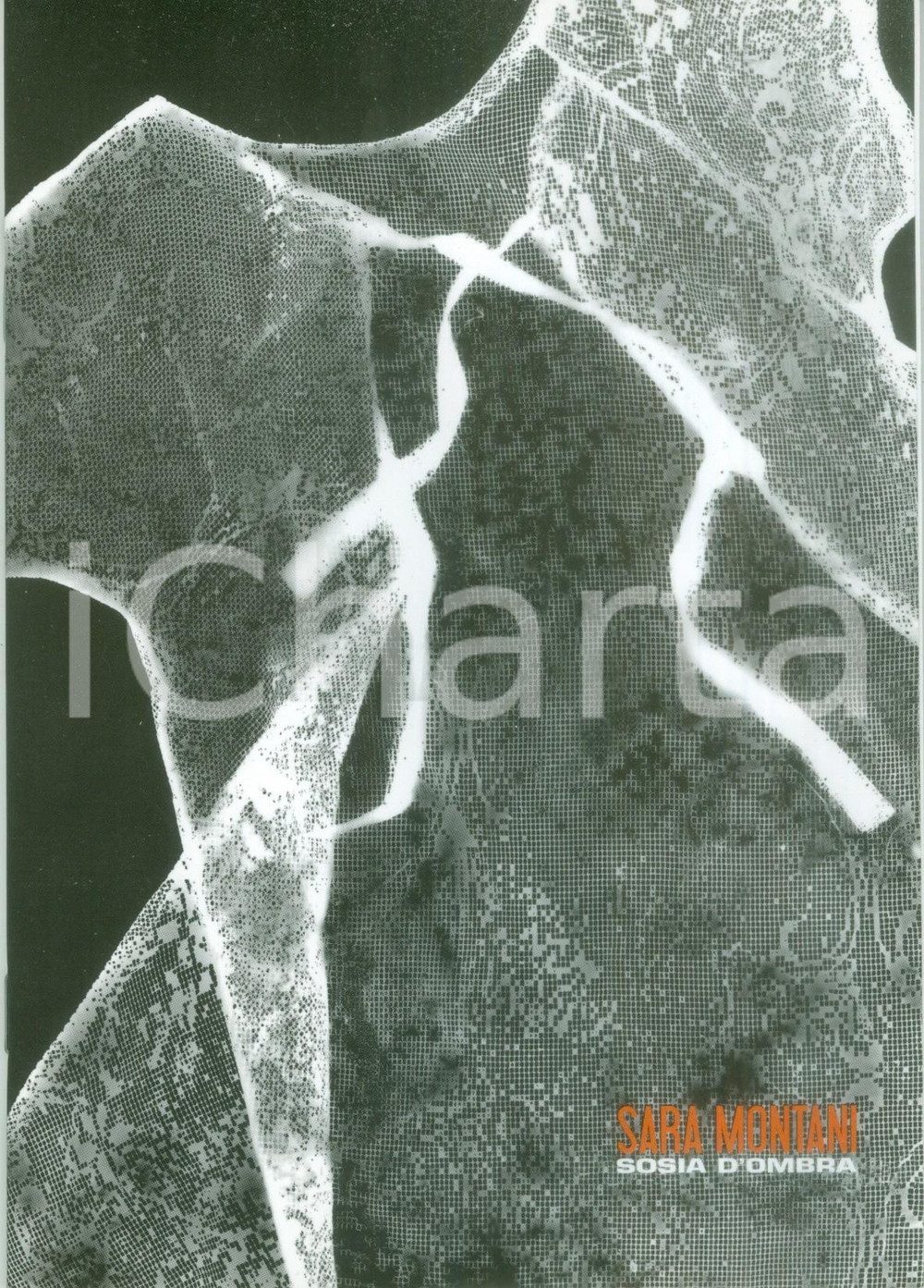 Libro, pubblicazione d epoca 2003 TREZZO SULL ADDA MI Sara MONTANI Sosia d ombra Catalogo ILLUSTRATO 1
