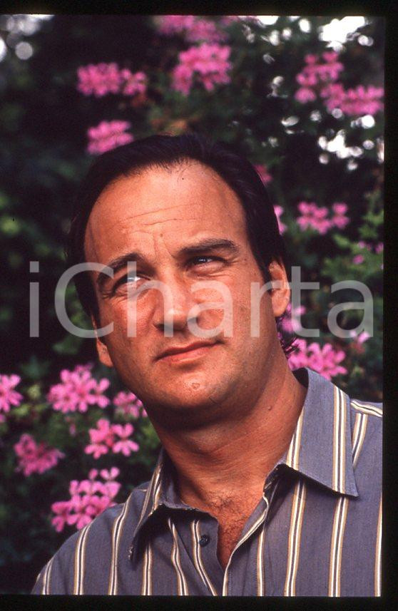 Jim BELUSHI - Mostra del Cinema VENEZIA 1982 - Giardino *35mm vintage slide 10 Diapositiva originale, in formato 35 mm.Per i diritti rivolgersi a ICharta.E' severamente vietata la riproduzione. Tutti i diritti sono riservati.ICharta mette in vendita, sul negozio eBay e in esclusiva sul sito "icharta" il proprio archivio composto da numerose diapositive e negativi fotografici d'epoca, tutti originali e autentici, che attraversano la storia del costume tra la fine degli anni Sessanta e Novanta.Si tratta di uno sguardo inedito sull'attualità, la politica, la vita quotidiana, il gossip e la cultura, che fotografa il cambiamento della nazione in quest'ultimo scorcio del XX secolo. Un'occasione unica per il mercato del collezionismo, che vede finalmente disponibile un archivio eccezionale per vastità, tematiche e condizioni, in un settore (il negativo fotografico e la diapositiva) di assoluta novità e dalle interessanti prospettive di investimento.  GOOD/buono   originale e autentica 1