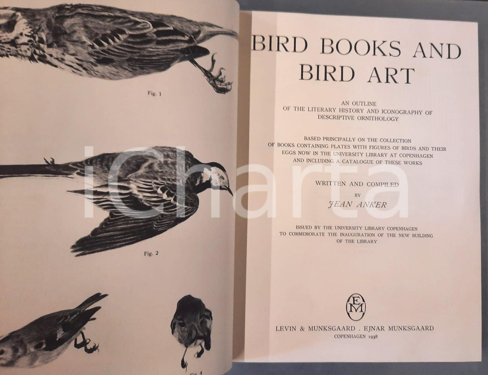 1938 Jean ANKER Bird books and bird art *REPRINT MARTINO 1990 Pubblicazione originale, ristampa originale dell'edizione del 1938.PAGINE: 766EDITORE: Maurice Martino Publisher - New York GOOD/buono lievi sporcature e tracce d'uso in copertina Formato: 22x29 cm originale e autentica 1