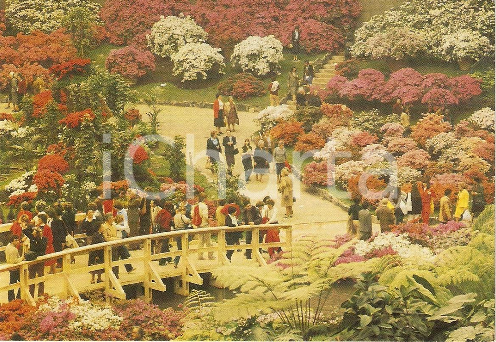 Cartolina originale da collezione 1986 GENOVA Fiera EUROFLORA Esposizione fiori Panorama VINTAGE *Cartolina (1) 1