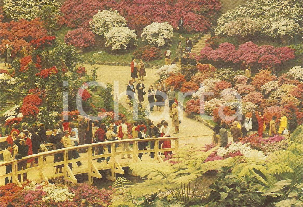 Cartolina originale da collezione 1986 GENOVA Fiera EUROFLORA Esposizione fiori Panorama VINTAGE Cartolina 3 1