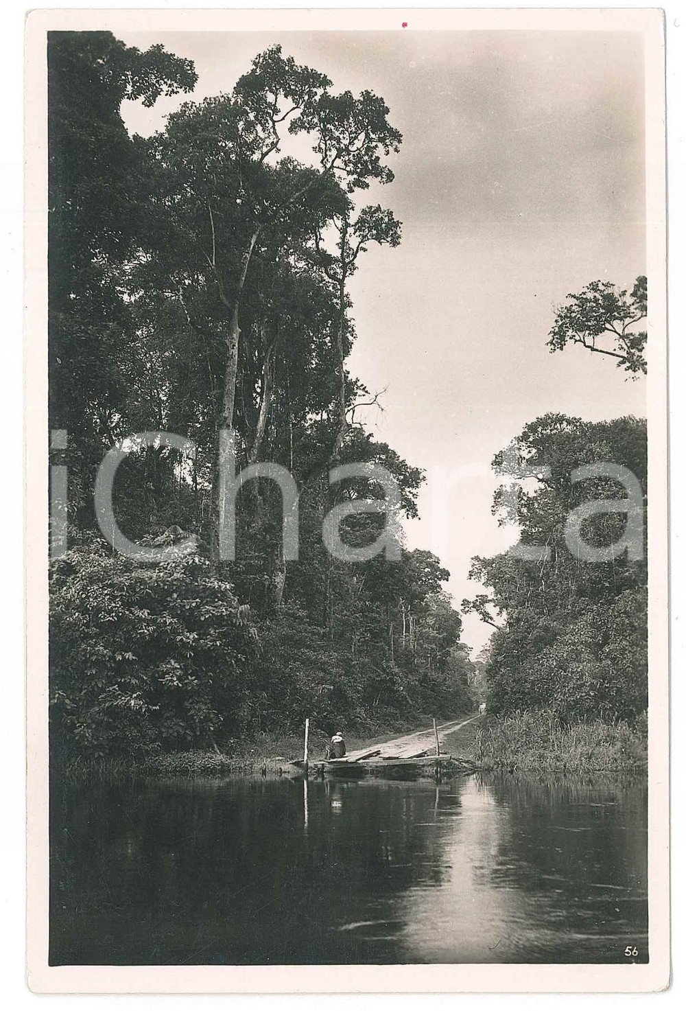1930 ca ZAGOURSKI «L'Afrique qui disparaît»  Route AKETI-LISALA *Postcard 56 (1) Â Fotocartolina postale d'epoca, appartenente alla 2^ serie «L'Afrique qui disparaît»  del fotografo Casimir Zagourski (LÃ©opoldville).N° 56, non viaggiata.FORMATO: 9x14 cm FAIR/discreto lievi piegature angolari  originale e autentica 1