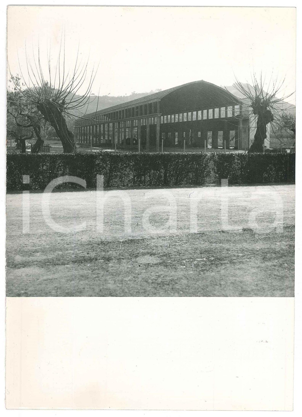Fotografia d epoca originale 1958 MONTESILVANO PE Stabilimento SABEMA  Capannone lato nord  Foto 1