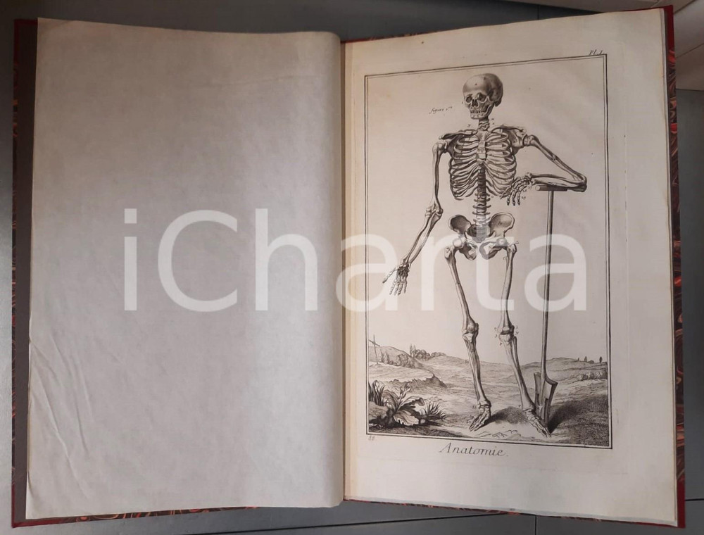 1981 COLLEZIONE DELL'ENCICLOPEDIA L'anatomia e il corpo umano *Ed. MAZZOTTA Brossura editoriale con copertina rigida e cofanetto.Contiene planche originale dell'Encyclopédie ou dictionnaire raisonné des sciences, des arts et des métiers di Diderot e D'Alembert.Edizione limitata con autografo di Gabriele Mazzotta.Esemplare n° 56/100 numerato a mano.EDITORE: Gabriele Mazzotta Editore - MilanoPAGINE: 156 GOOD/buono lievi tracce d'uso e sporcature al taglio Formato: 27x43 cm originale e autentica 1