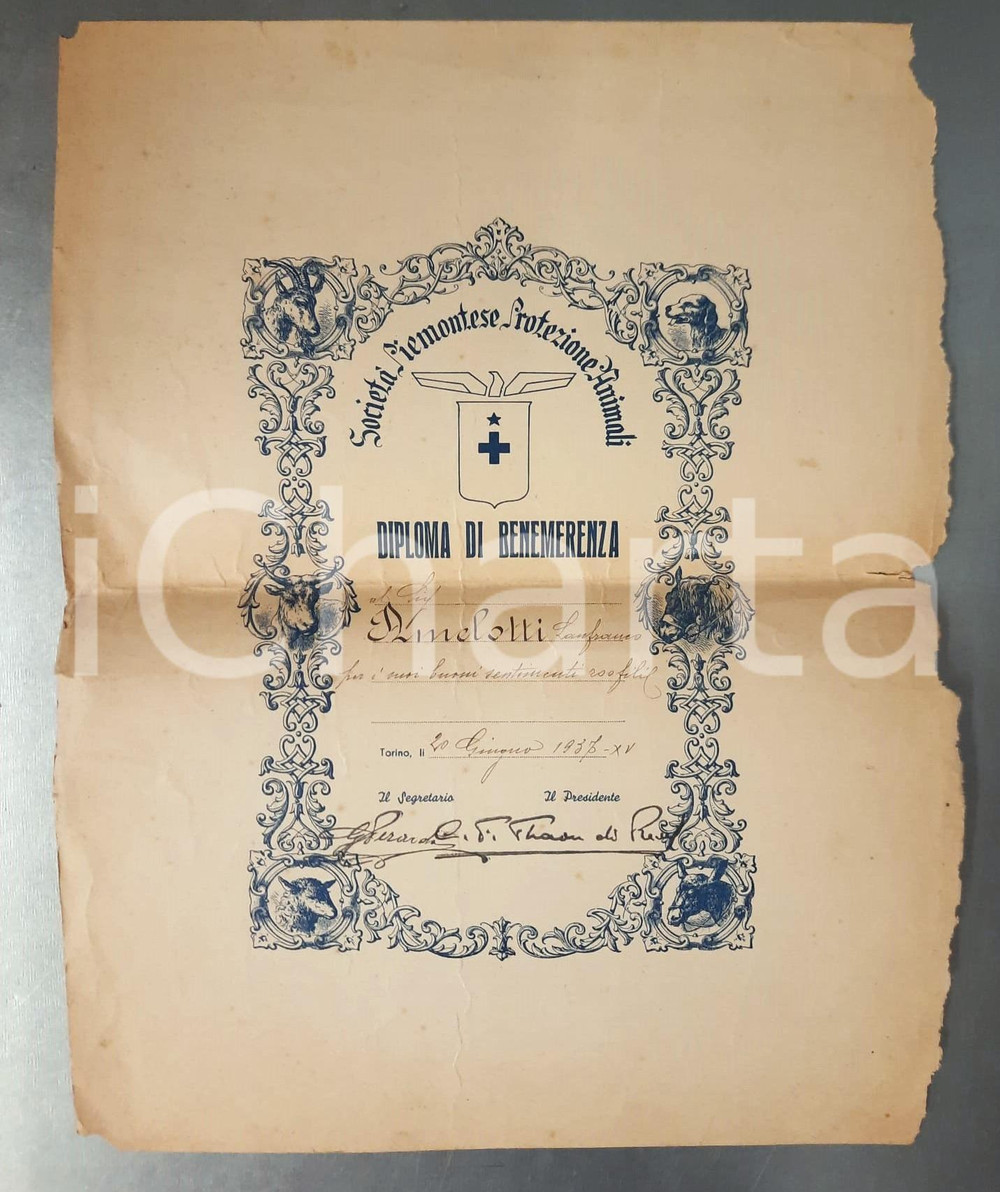 Oggetto da collezione cartaceo 1937 TORINO SocietÃ  Piemontese Protezione Animali  Diploma benemerenza 1
