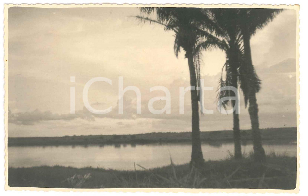 1930 ca C. ZAGOURSKI (?) AFRIQUE - CONGO BELGE Paysage congolaise (12) Postcard  Fotocartolina postale d'epoca, attibuita al fotografo Casimir Zagourski.CONDIZIONI: GOODFORMATO: 9x14 cm    originale e autentica 1