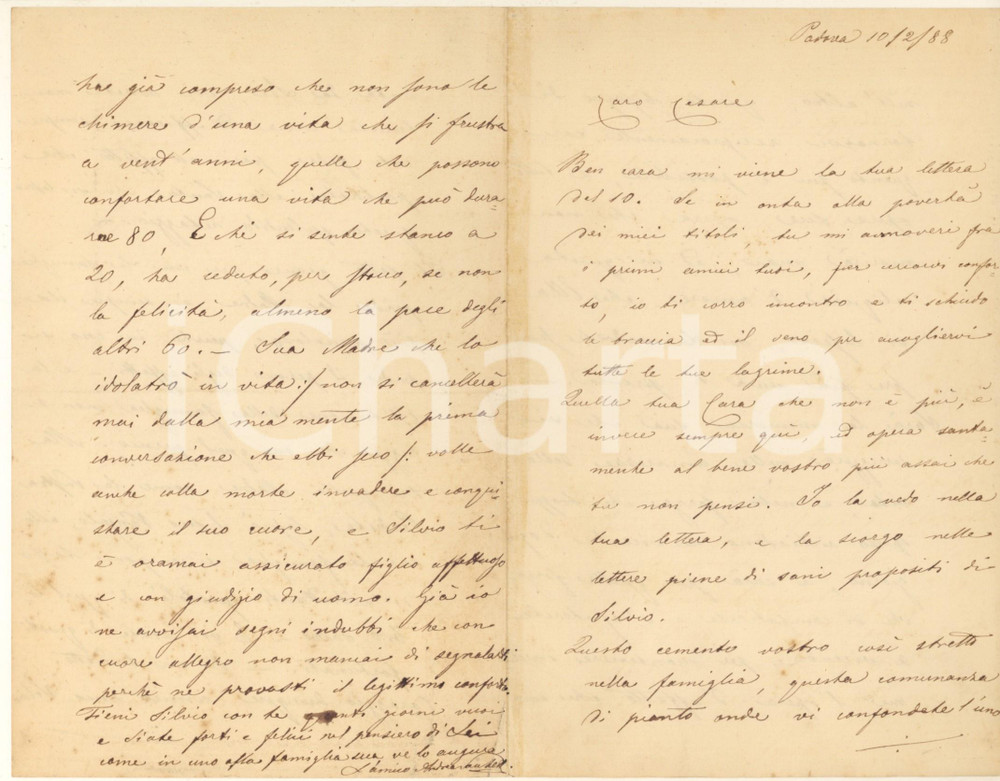 Autografo originale 1888 PADOVA Lettera Andrea SANTELLI per condoglianze  Autografo 1