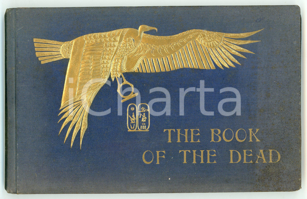 Libro, pubblicazione d epoca 1950 ca BOOK OF THE DEAD AND ELYSIAN FIELDS Album  A. GADDIS & G. SEIF Luxor 1