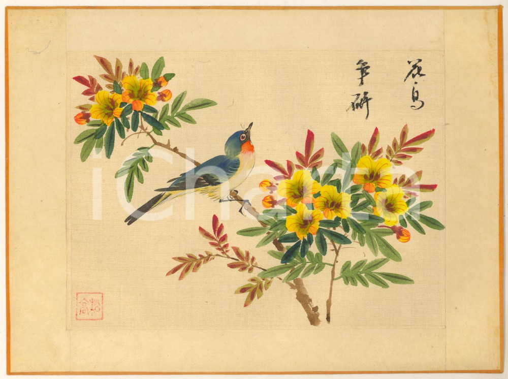 Stampa, bozzetto originale 1950 ca CHINA Uccello con fiori  Dipinto originale su seta 21x15 cm 1 1