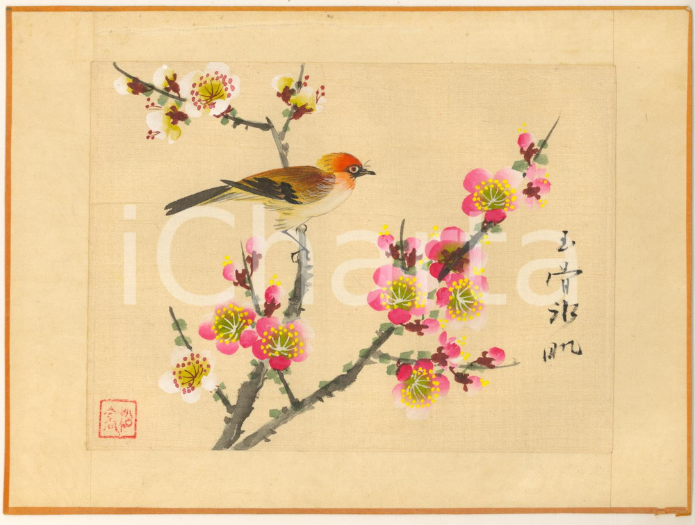 Stampa, bozzetto originale 1950 ca CHINA Uccello con fiori  Dipinto originale su seta 21x15 cm 2 1