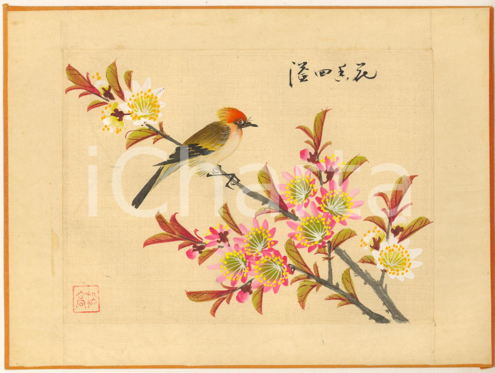 Stampa, bozzetto originale 1950 ca CHINA Uccello con fiori  Dipinto originale su seta 21x15 cm 4 1