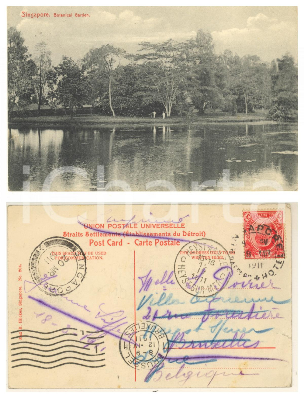 1911 SINGAPORE Botanical Garden - Original vintage postcard Cartolina postale, originale d'epoca, viaggiata. POOR/danneggiato millimetrico strappo al lato sinistro; smussatura al lato superiore Formato: 14x9 cm originale e autentica 1