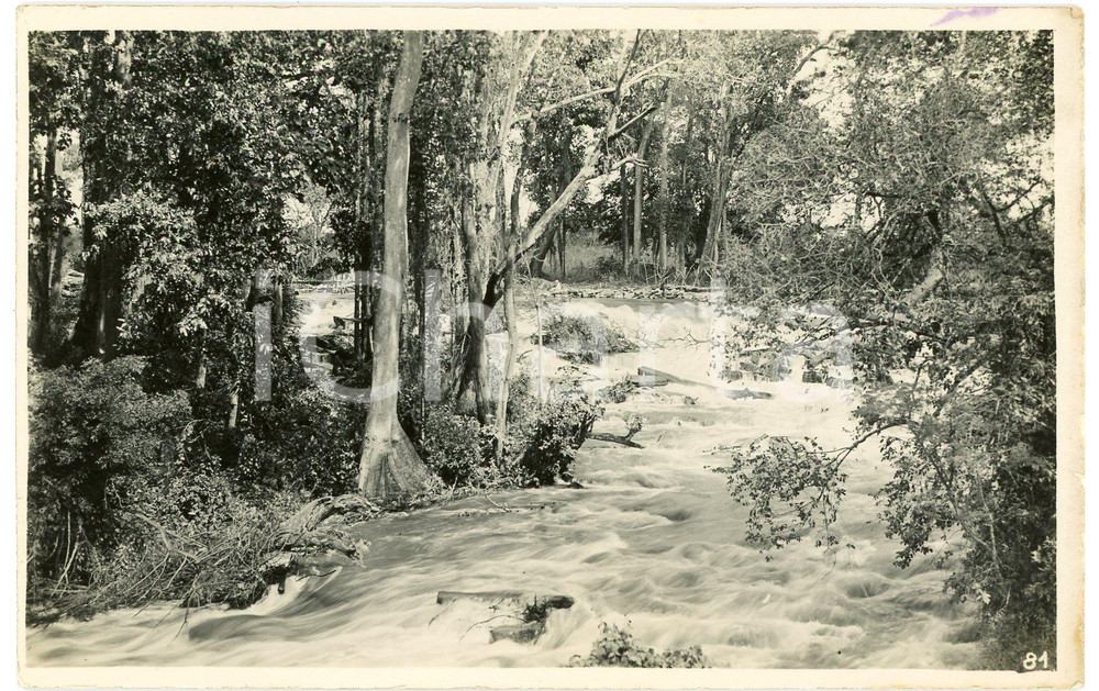 1930 ca CONGO BELGE - KATANGA Rivière LUFVIA - SOGEFOR *Photo L. GABRIEL 81 (1) Fotografia originale d'epoca, in formato cartolina postale.FOTOGRAFO: L&eacute;opold Gabriel - Panda - Katanga  GOOD/buono  Formato: 14x9 cm originale e autentica 1