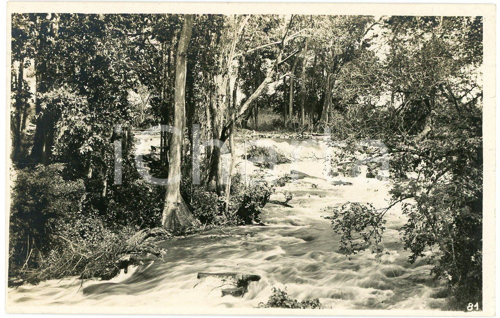 1930 ca CONGO BELGE - KATANGA Rivière LUFVIA - SOGEFOR *Photo L. GABRIEL 81 (3) Fotografia originale d'epoca, in formato cartolina postale.FOTOGRAFO: L&eacute;opold Gabriel - Panda - Katanga  GOOD/buono  Formato: 14x9 cm originale e autentica 1