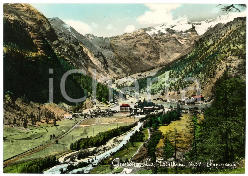 Cartolina originale da collezione 1955 GRESSONEYLATRINITE   Panorama del paese  Cartolina FG VG 1