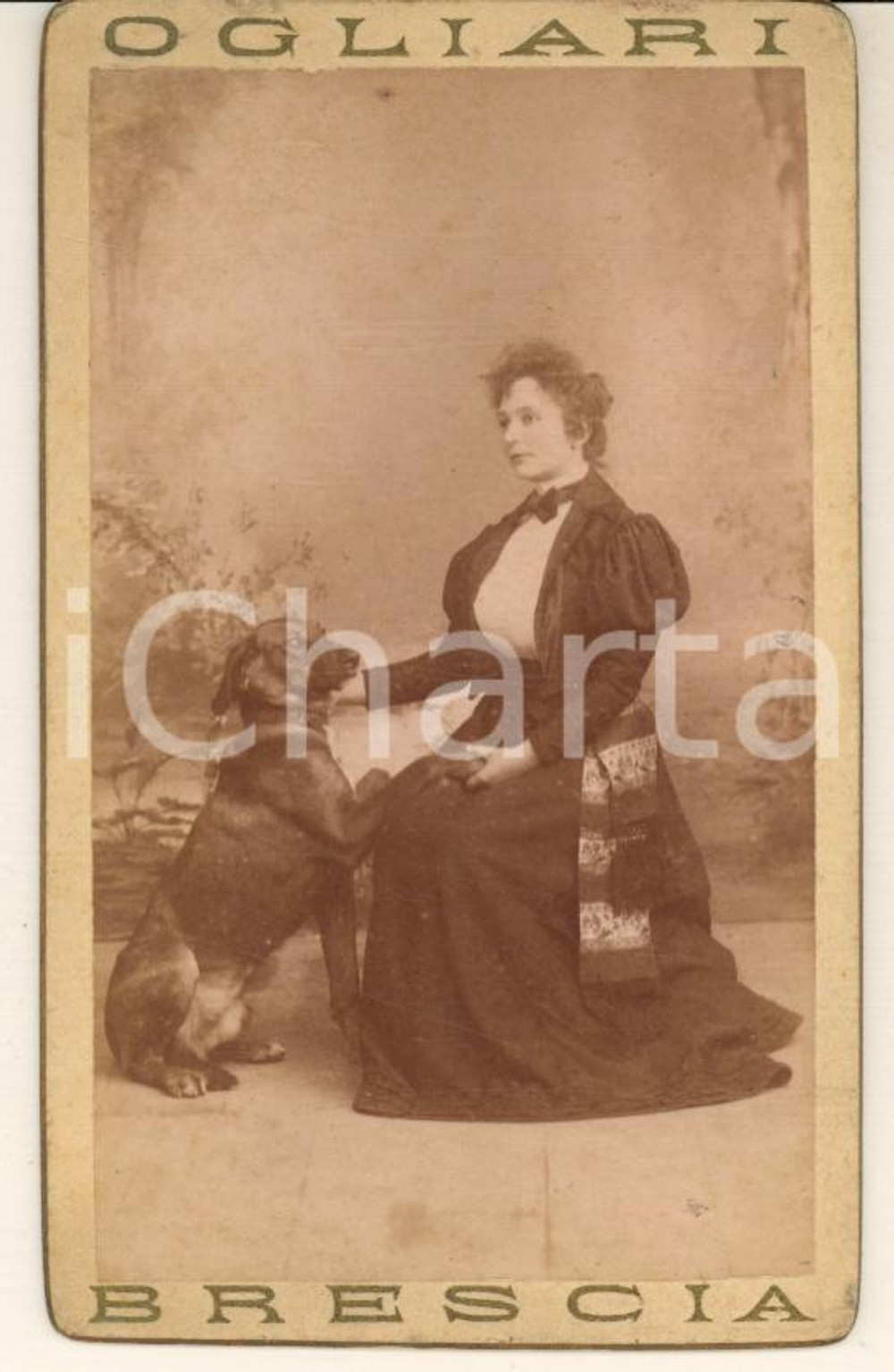 1897 BRESCIA Ritratto di nobildonna con il cane *Foto Giona OGLIARI CDV RARA (1) Fotografia d'epoca, su cartoncino rigido, con data manoscritta al verso.FOTOGRAFO: Giona Ogliari - Brescia, via Didietro Vescovado  GOOD/buono  Formato: 6x10 cm originale e autentica 1