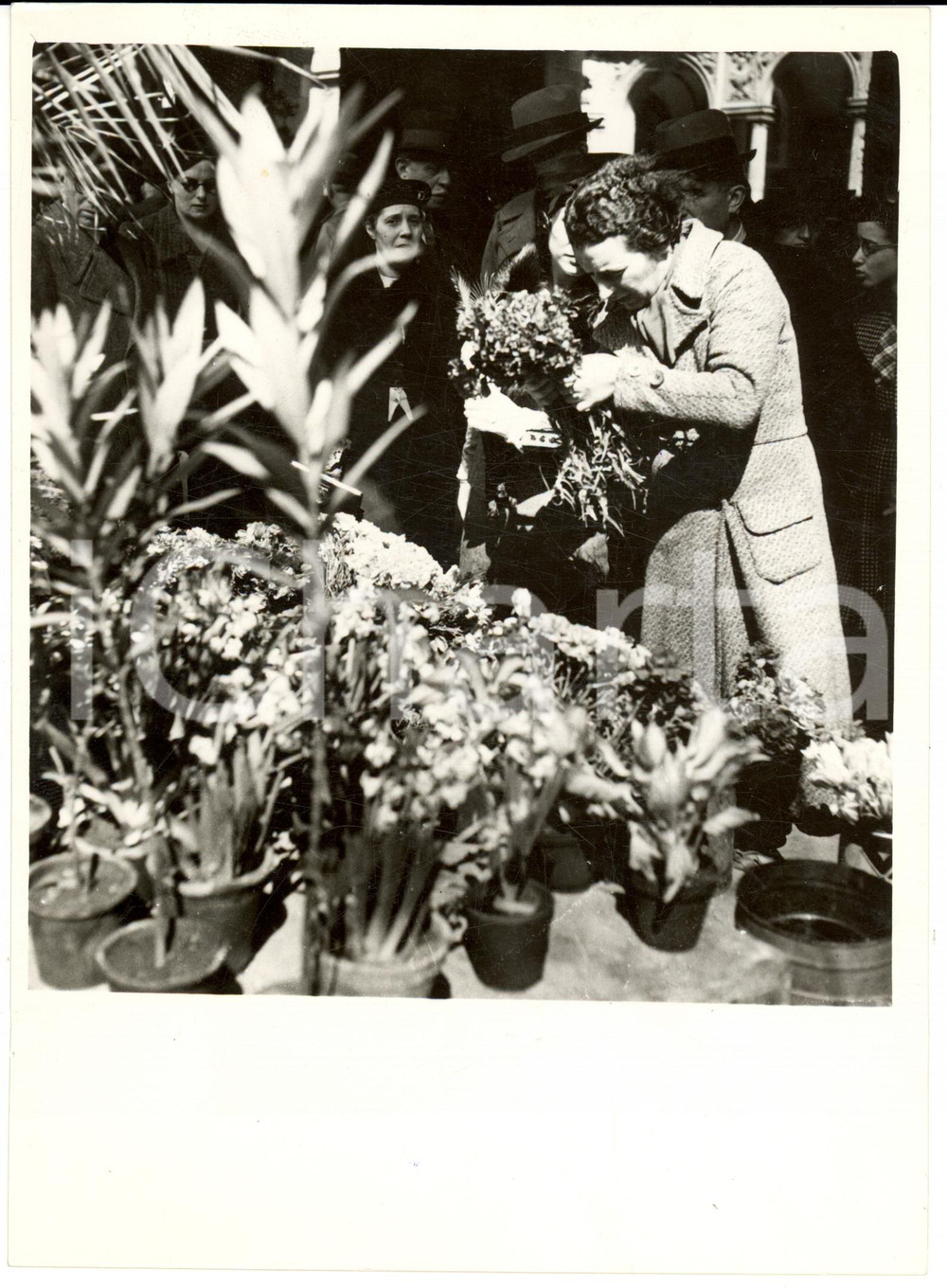 Fotografia d epoca originale 1938 MILANO Sagra Fiori Pesci e Uccelli alla LOGGIA MERCANTI Foto 13x18 cm 1
