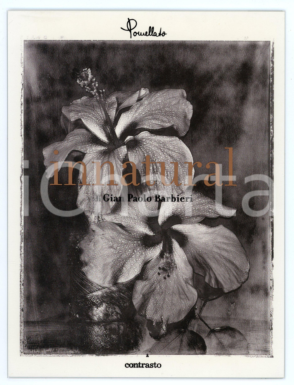 2004 TRIENNALE DI MILANO "Innatural" di Gian Paolo BARBIERI Invito alla mostra Invito alla mostra da parte di Pomellato.In cartoncino con sovraccoperta stampata su lucido. GOOD/buono  Formato: 15x20 cm originale e autentica 1