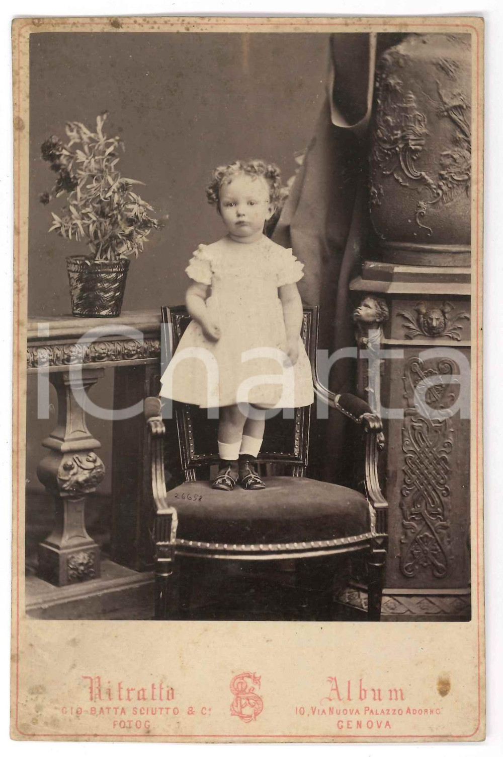 1871 GENOVA Ritratto di bambina con vaso di fiori - Foto G. B. SCIUTTO (3)  Fotografia d'epoca.FOTOGRAFO: G. B. Sciutto - Genova POOR/danneggiato macchie Formato: 10x16 cm originale e autentica 1