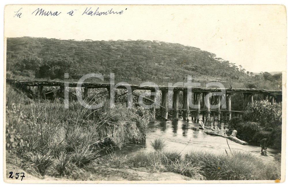 1930 ca CONGO KATANGA Pont sur la Mura à  Kabontwé *Photo L. GABRIEL 257 (1) Fotografia originale d'epoca, in formato cartolina postale.FOTOGRAFO: L&eacute;opold Gabriel - Panda - Katanga  FAIR/discreto piegature angolari Formato: 14x9 cm originale e autentica 1