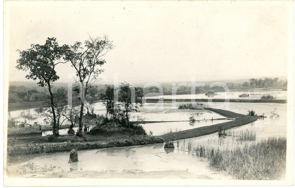 1930 ca CONGO BELGE - NATURE - Panorama avec rivière - Photo 14x9 cm (2) Fotografia d'epoca, in formato cartolina postale. GOOD/buono  Formato: 14x9 cm originale e autentica 1