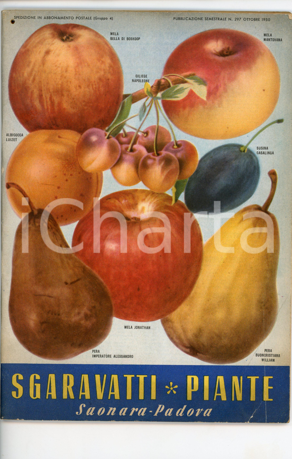 1950 SAONARA (PD) Sgaravatti Piante - Catalogo ILLUSTRATO Catalogo illustrato d'epoca.PAGINE: 67 VERY POOR/gravemente danneggiato strappo e taglio al margine inferiore della copertina, forellino all'angolo superiore sinistro, bruniture diffuse Formato: 18x26 cm originale e autentica 1