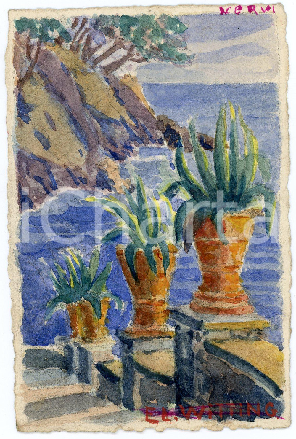 1955 ca GENOVA - NERVI Cartolina dipinta a mano di E. L. WITTING Cartolina non viaggia dipinta a mano. Con firma autografa dell'autore E.L. Witting.  FAIR/discreto Lievi smussature agli angoli, macchia al recto Formato: 9x14 cm originale e autentica 1