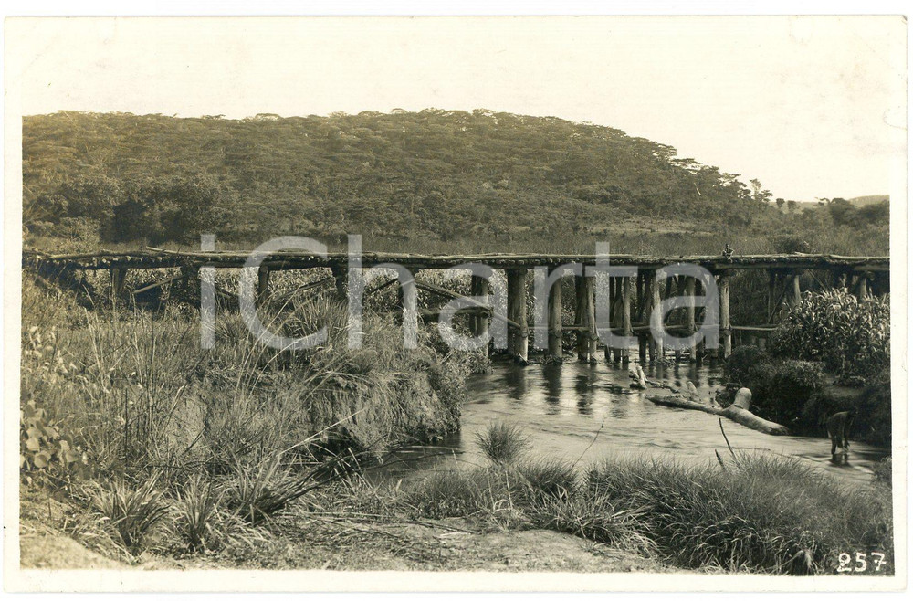 1930 ca CONGO KATANGA Pont sur la Mura à  Kabontwé *Photo L. GABRIEL 257 (3) Fotografia originale d'epoca, con timbro del fotografo al verso.FOTOGRAFO: L&eacute;opold Gabriel - Panda - Katanga  GOOD/buono  Formato: 14x9 cm originale e autentica 1