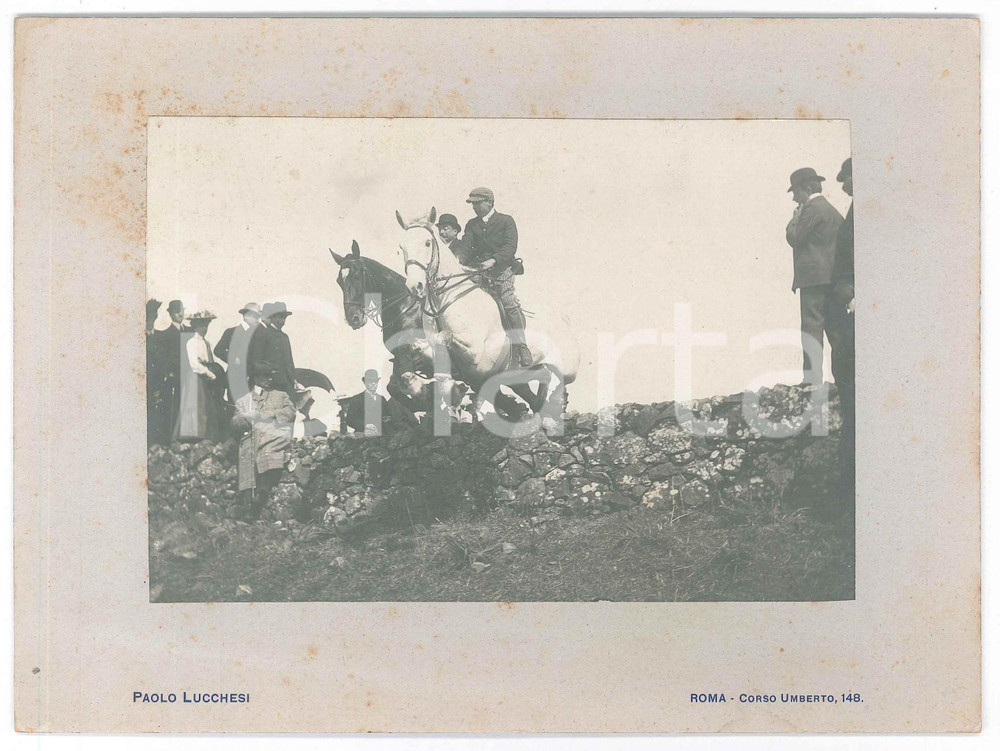 1900 ca Area di ROMA - EQUITAZIONE - Cavalli al salto *Foto Paolo LUCCHESI (1) Fotografia d'epoca, montata su cartoncino rigido.FOTOGRAFO: Paolo Lucchesi - Roma, corso Umberto 148 FAIR/discreto fioriture Formato: 21x16 cm originale e autentica 1