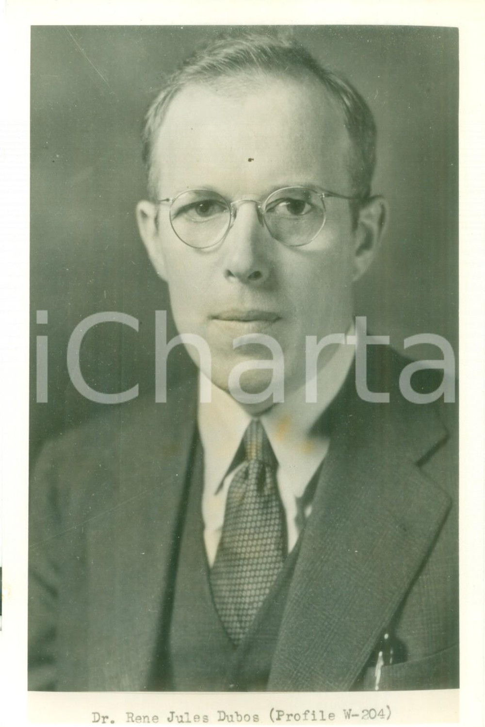 Fotografia d epoca originale 1955 ca NEW YORK Biologo René Jules DUBOS Fotografia 3 1